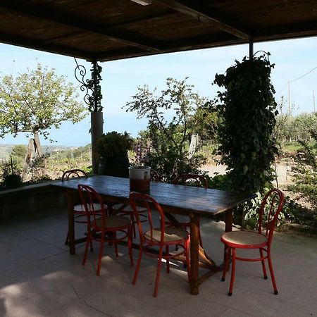 B&B Il Vigneto Trebisacce Dış mekan fotoğraf
