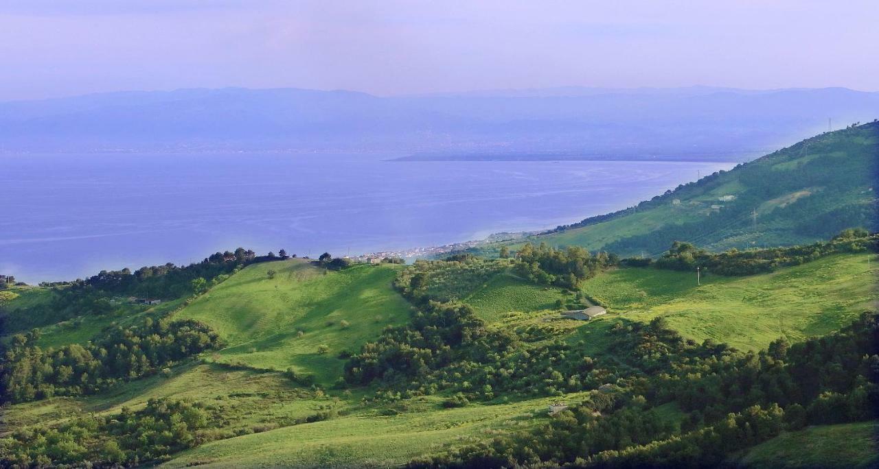 B&B Il Vigneto Trebisacce Dış mekan fotoğraf