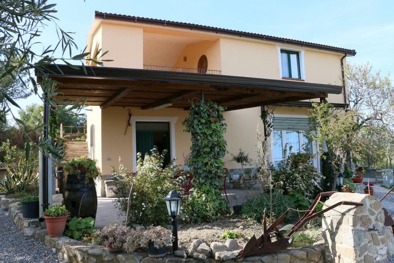 B&B Il Vigneto Trebisacce Dış mekan fotoğraf