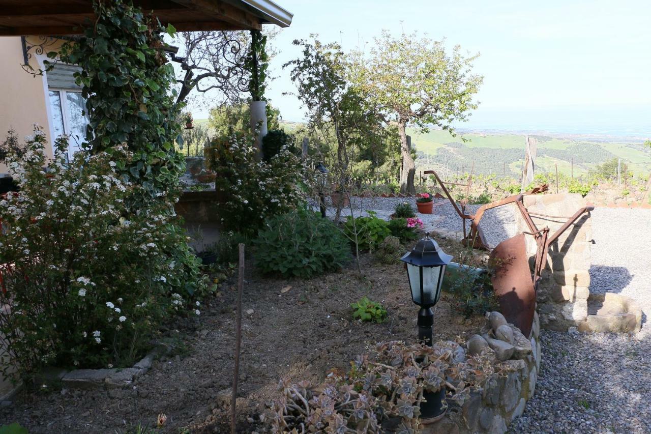 B&B Il Vigneto Trebisacce Dış mekan fotoğraf