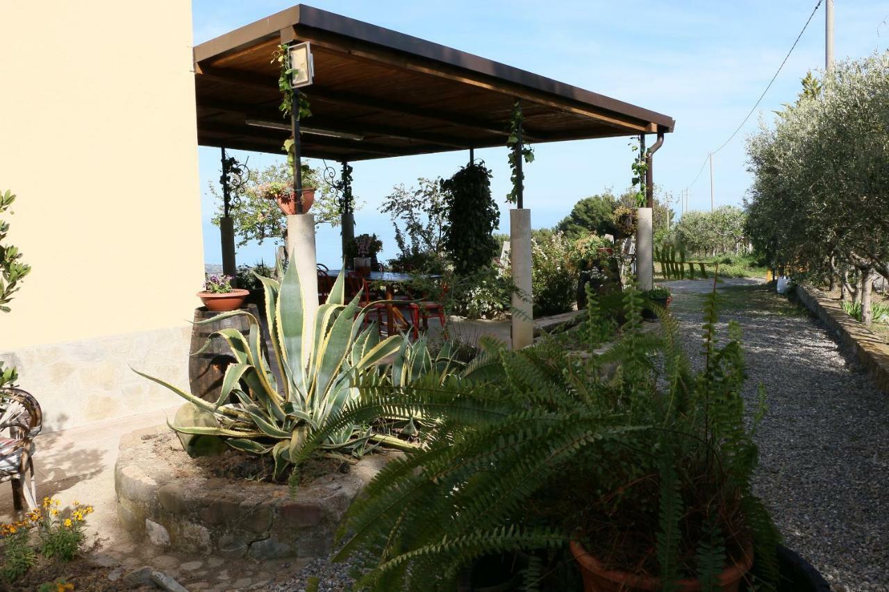 B&B Il Vigneto Trebisacce Dış mekan fotoğraf