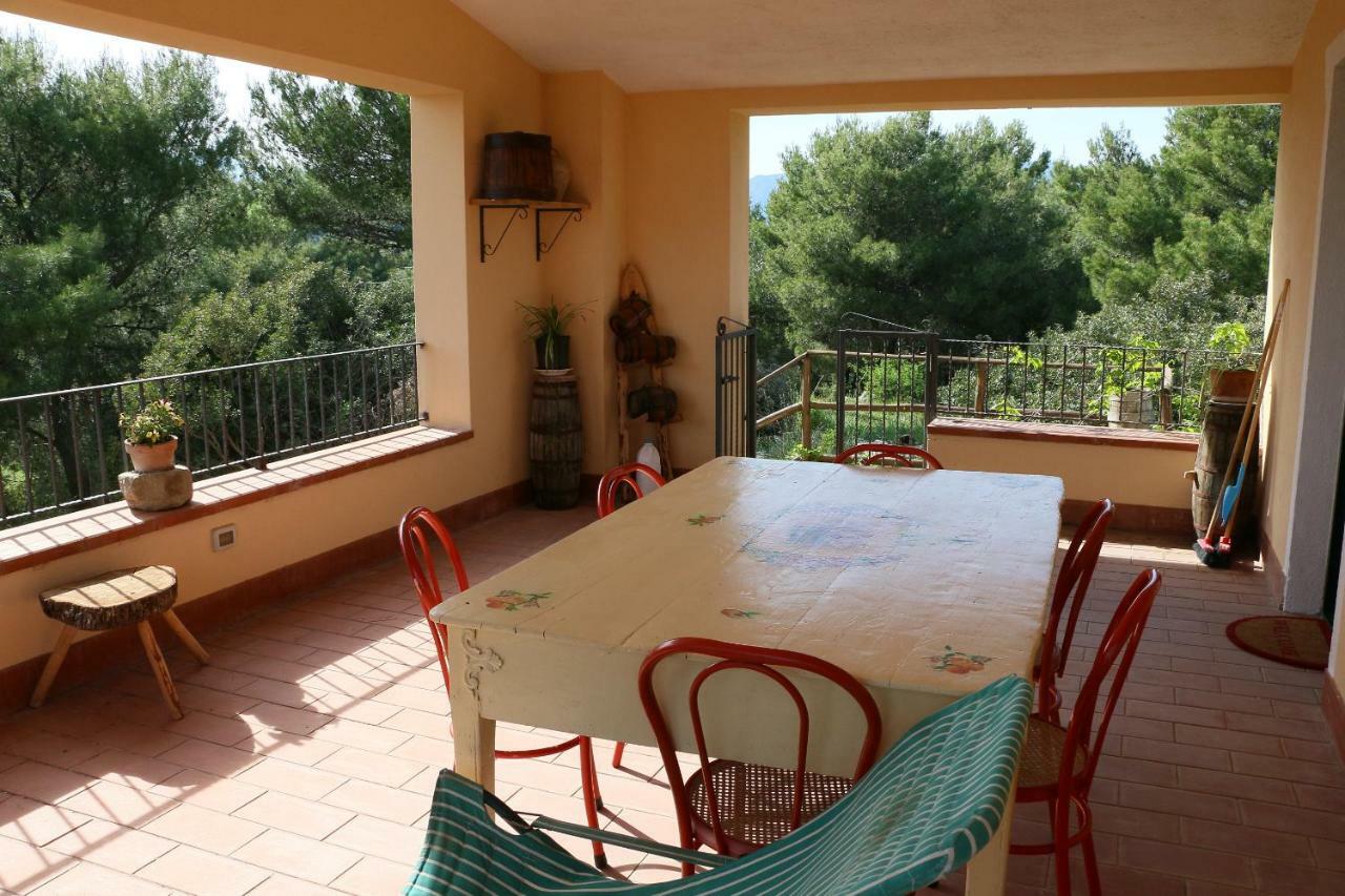B&B Il Vigneto Trebisacce Dış mekan fotoğraf